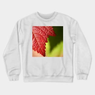 Red Leaf Lines Crewneck Sweatshirt